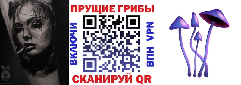 Псилоцибиновые грибы MAGIC MUSHROOMS  Купить где  Елизаветинская 